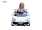 Les enfants deux circule en voiture le tour 6V4AH électrique sur Toy Car With Parallel Swing